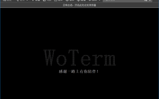 Woterm(跨平台远程管理工具) v10.1.3-202502241547 中文绿色版
