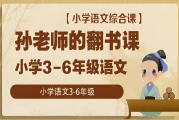 小学语文综合课：孙老师的翻书课 (3-6年级)