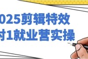 2025剪辑特效1对1就业营实操