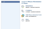 VMware Workstation Player(虚拟机平台) v17.6.1.24319023