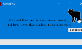 MetaFox(轻量级视频转换软件) v2.5.8 便携版