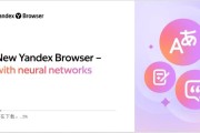 Yandex 浏览器 v25.6.3.331 中文版 去广告便携版