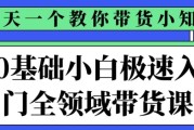 0基础小白极速入门全领域带货课
