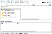 RegCool(注册表编辑工具) v2.031 多语便携版