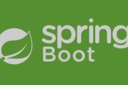 知识星球 Java达摩院（redis+新版 Spring Boot）视频教程