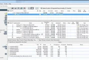 BiglyBT 开源免费BT种子客户端 v3.7.0 官方中文版