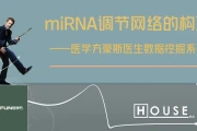 数据挖掘—miRNA调节网络的构建