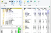 TreeSize Professional 磁盘容量分析器 v9.1.5.1885，帮助你分析磁盘文件占用情况