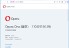 Opera Portable(Opera浏览器) v118.0.5461.60 多语便携版