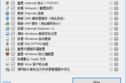 Complete Internet Repair(网络诊断工具) v11.1.3.6518 中文绿色版