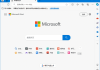 微软Edge浏览器 v137.0.3296.62 多语便携版