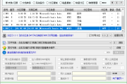 系统安装备份工具 WIT | Windows Install Tool（24H2.1.0 | 2025.02.01）