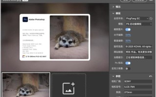 Copicseal 图片水印工具 v0.3.6 Copicseal 图片水印工具 v0.3.6