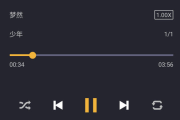 脉冲音乐播放器高级版「Pulsar+」 v1.12.9 for Android 直装付费修改版