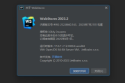 JetBrains WebStorm 2024.2.0.1 (开发工具) 破解版+绿色版