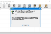 IDM下载器(Internet Download Manager) v6.42.35 中文绿色版