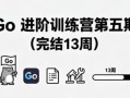 Go 进阶训练营第五期（完结13周）