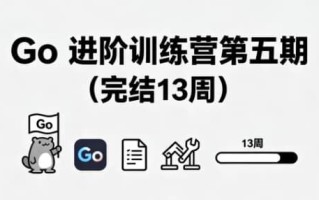 Go 进阶训练营第五期（完结13周）