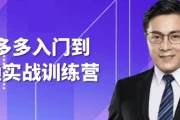 拼多多入门到精通实战训练营