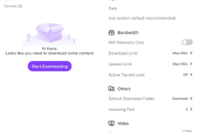 BitTorrent Pro 种子磁力链接下载工具 v8.2.32