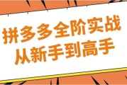 拼多多全阶实战从新手到高手