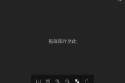 Pineapple Pictures(菠萝看图)v0.8.1 绿色版