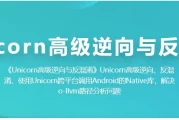 Unicorn 高级逆向与反混淆