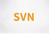 SVN视频课程 – 带源码课件