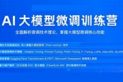 AI 大模型微调训练营，八周精讲视频+资料 精品课程