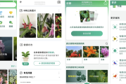 PictureThis Plant Identifier 植物识别软件 v5.1.5 简洁无广告