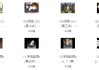 一堂上瘾的英语单词课 6000词频内拆解词根单词课视频+讲义