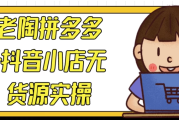 老陶拼多多+抖音小店无货源实操