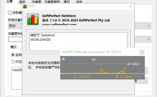 SoftPerfect NetWorx(网络流量监控工具) v7.2.2 中文绿色版