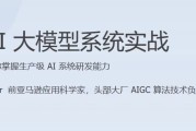 AI大模型系统实战（完结）
