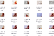 速写练字课程合集