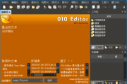 010 Editor(专业十六进制编辑器) v15.0.2 汉化便携版