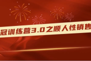 销冠训练营3.0之顺人性销售法