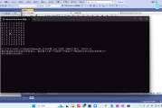 C++训练营62期