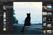 NeeView(高效实用的图片浏览器) v42.3 中文绿色版