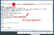 ScreenCapture(轻量级单文件截图工具) v2.2.3 中文绿色版