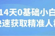 14天0基础小白快速获取精准人群