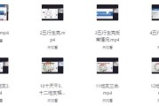 盲派山阳老师全套课程20集+课件
