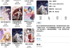 PasteMangaX 漫画阅读器 v2.1.1