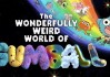 少儿英语启蒙动画《阿甘妙世界 The Amazing World of Gumball (1-6季+番外) 》