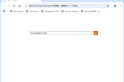 SRWare Iron(基于谷歌开发的浏览器) v131.0.6650.1 多语便携版