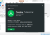 TreeSize(磁盘空间管理工具) Pro v9.4.2.2004 多语便携版