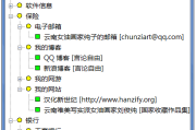 Password Safe(开源的密码管理器) v3.67.0 中文绿色版