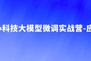 大模型微调实战营-应用篇 - 带源码课件