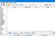 qBittorrent Enhanced Edition(BT客户端) v5.0.4.10 多语便携版