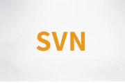SVN视频课程 – 带源码课件